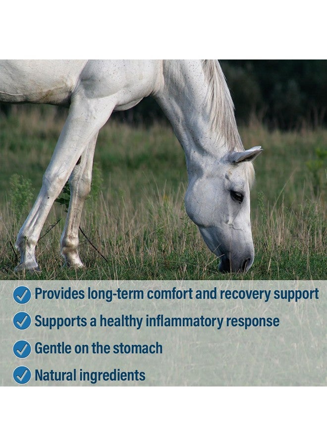 Absorbine ButeLess Comfort & Recovery Support Supplement, Provides LongTerm Comfort, Gentle On Stomach, Includes Devil’S Claw, Vitamin B12, Yucca, 10 Lb / 160 Day Supply - Image 4