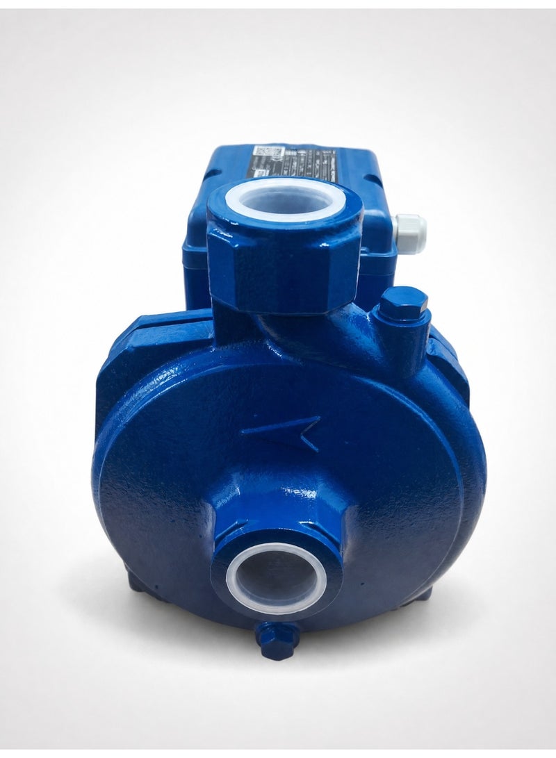 Pentax 0.5 HP Italian Water Pump - Image 1