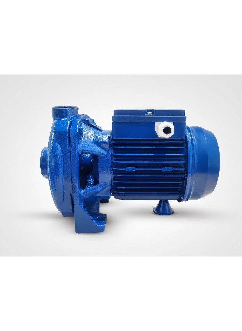 Pentax 0.5 HP Italian Water Pump - Image 2