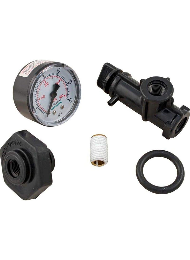 Pentair Pentair 248500105 Valve and Gauge Assembly Replacement for Select StaRite Pool and Spa Filters  - Image 1
