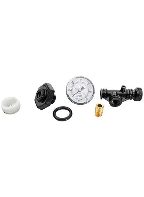 Pentair Pentair 248500105 Valve and Gauge Assembly Replacement for Select StaRite Pool and Spa Filters  - Image 2