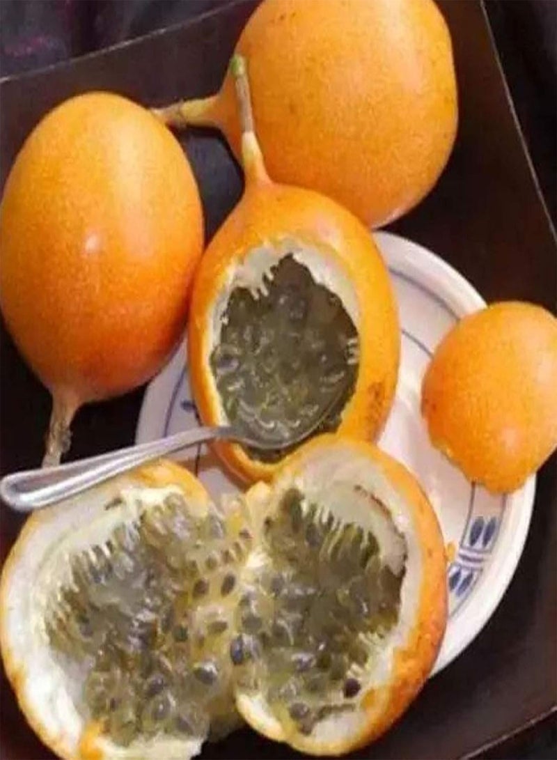 GGOOT 10Pcs Passion Fruit Seeds Nutritious Edible Portable Disease Resistant Brazil Nut Seeds for Farm - 10pcs Seeds - Flower Seeds Vegetable Seeds Fruit Seeds Garden Plant Seeds - Image 4