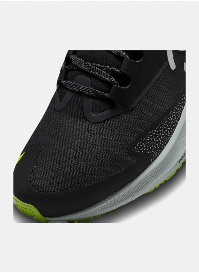 Nike - W Pegasus 39 Shield - Image 1