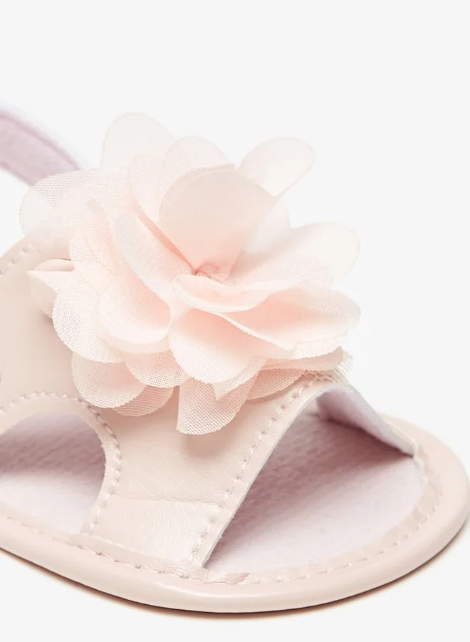فلورا بيلا Girl's Floral Applique Backstrap Booties With Hook And Loop Closure