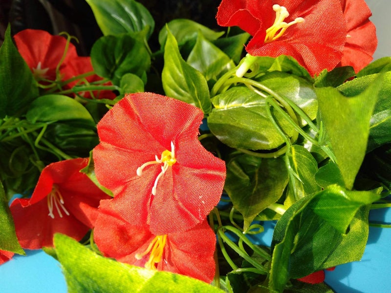 AirSun Artificial Morning Glory Flower Vines, 2pcs 15Feet Hanging Plants Silk Garland Fake Green Plant Home Garden Wall Fence Indoor Outdoor Wedding Birthday Decor - Image 4