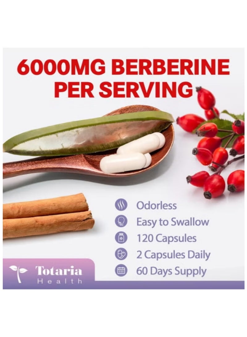 توتاريا مكمل 27 في 1 بربرين 6000 ملغ مع قرفة سيلان وحليب الشوك نباتي لدعم الكبد والأمعاء 120 كبسولة - Image 2