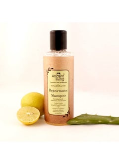 Ancient Living Rejuvenative Shampoo Free From Parabens And Sulfates -200Ml  - Image 2