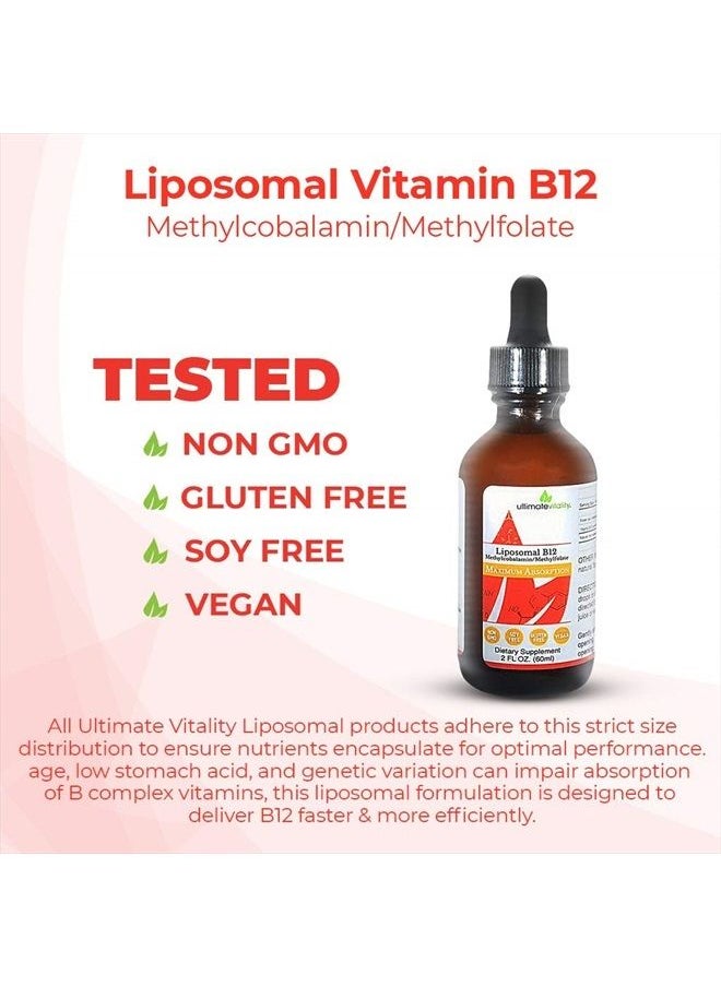 UltimateVitality - Liposomal B12 Methylcobalamin Liquid with Folate as L-5-Methylfolate Enhanced with Phosphatidylcholine - Designed for Maximum Absorption - 2 Ounces - Image 1