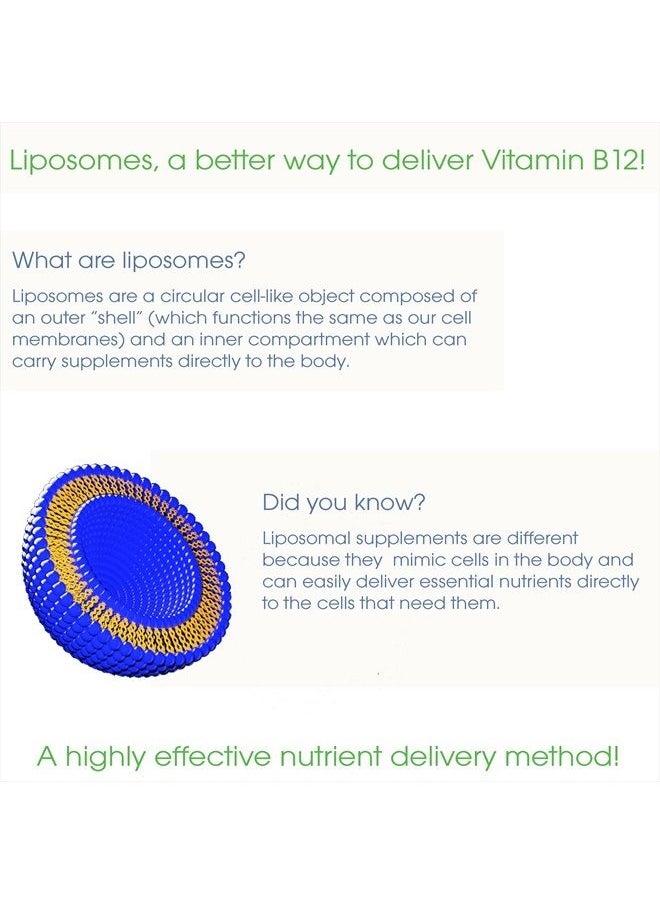 UltimateVitality - Liposomal B12 Methylcobalamin Liquid with Folate as L-5-Methylfolate Enhanced with Phosphatidylcholine - Designed for Maximum Absorption - 2 Ounces - Image 1