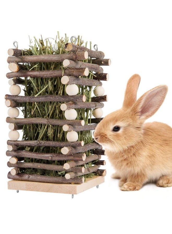 Alphatool Hanging Apple Wood Rabbit Hay Feeder - Guinea Pig Grass Holder with 2 Hooks Biting Resistant Small Animals Chew Toy, Feeding Hay Manager Shelf for Chinchilla Bunny Hamster Gerbil Holiday Presents  - Image 5