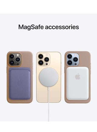 Apple iPhone 16 Pro 2024 Premium Soft Liquid Silicone Case Cover - Desert Titanium - view 2