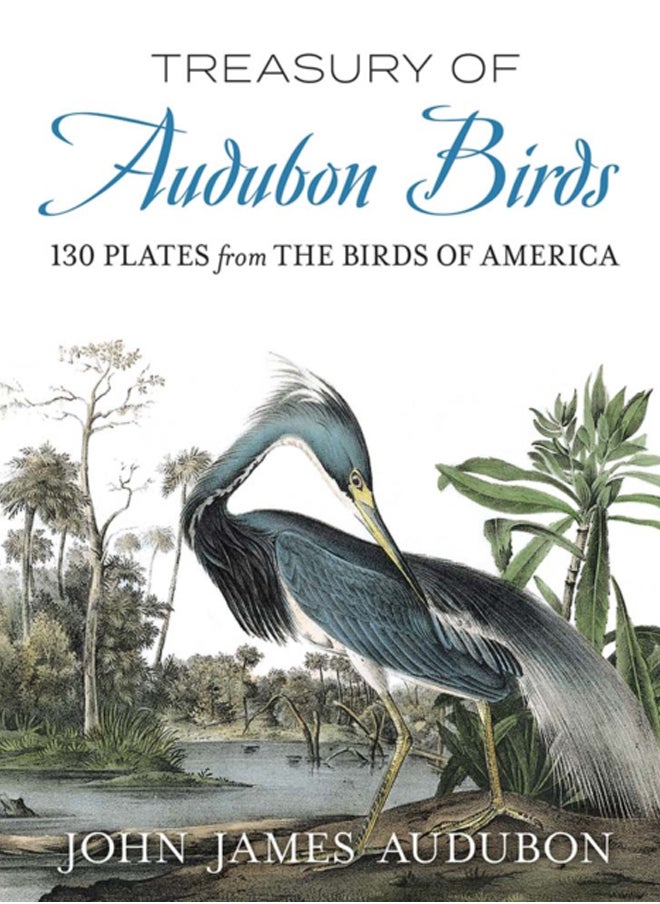 Treasury of Audubon Birds : 130 Plates from the Birds of America 