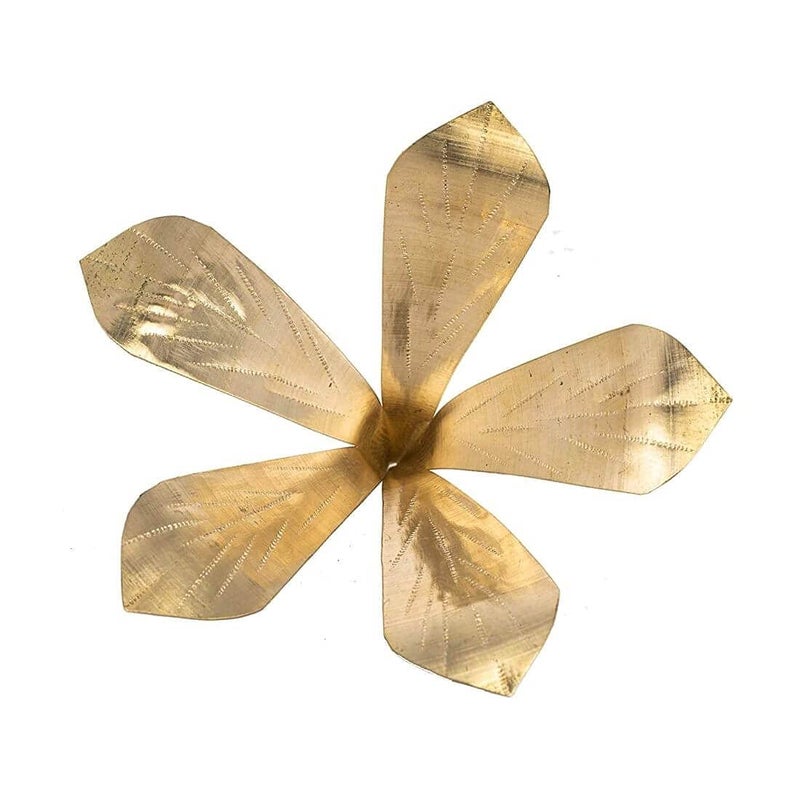 MAYAPURI MAYAPURI Pure Brass Amra Pallav or Original Pital Aam PattaPooja Mango Leaves for Daily Puja Golden Colour Mango Leaf Size 35x35x35 inches Pack of 1  - Image 1