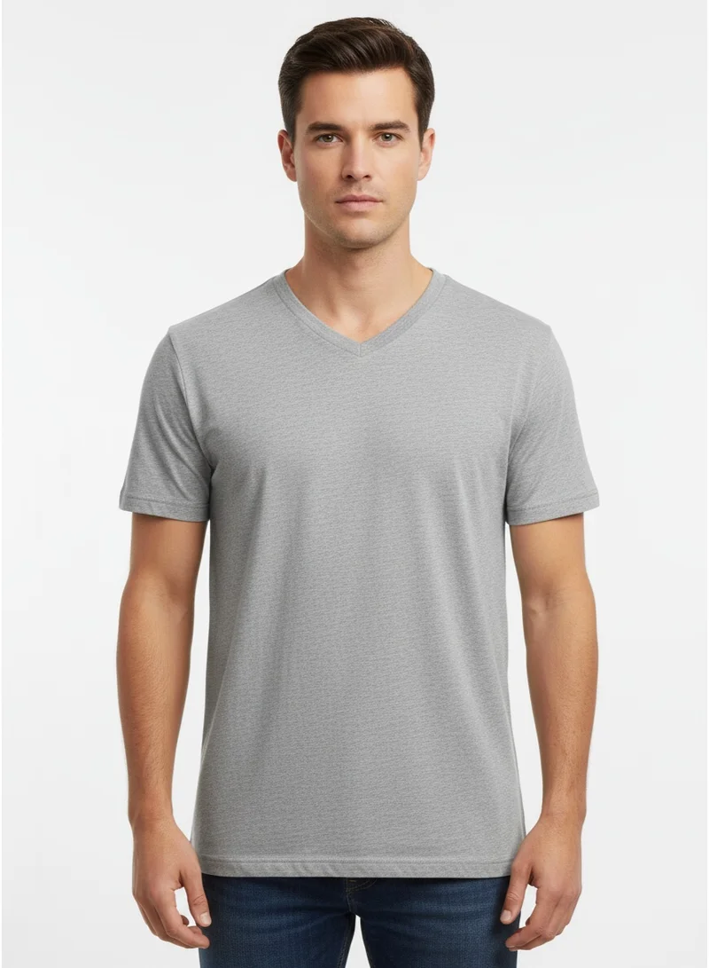 Hanes Mens  Basic Tshirt