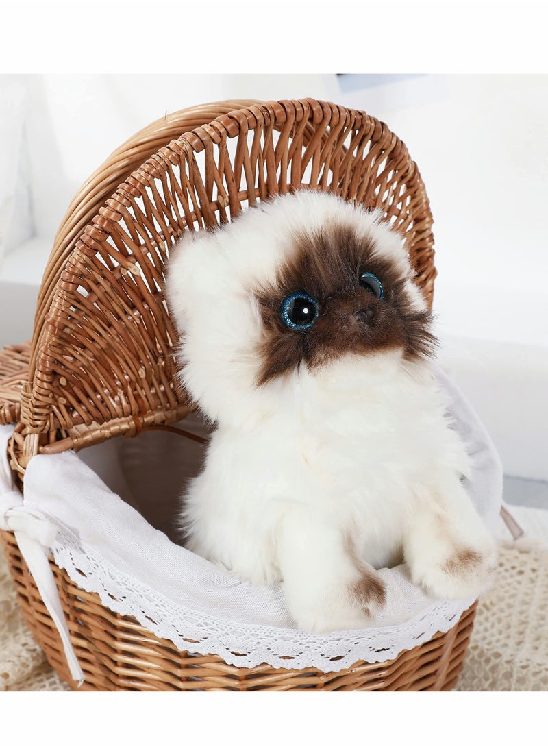 SYOSI - Cat Plush Toy Simulated Siamese cat shape Material Soft Shape Realistic 10 Inch Kitten Doll Cute Ragdoll Cat Great Birthday Gift for Kids Friends Lovers - Image 1