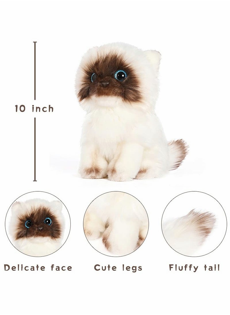 SYOSI - Cat Plush Toy Simulated Siamese cat shape Material Soft Shape Realistic 10 Inch Kitten Doll Cute Ragdoll Cat Great Birthday Gift for Kids Friends Lovers - Image 1