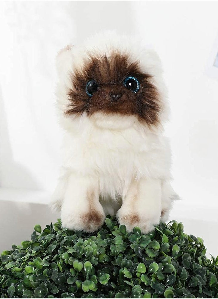 SYOSI - Cat Plush Toy Simulated Siamese cat shape Material Soft Shape Realistic 10 Inch Kitten Doll Cute Ragdoll Cat Great Birthday Gift for Kids Friends Lovers - Image 1
