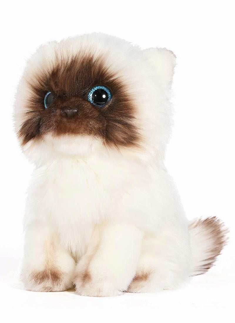 SYOSI - Cat Plush Toy Simulated Siamese cat shape Material Soft Shape Realistic 10 Inch Kitten Doll Cute Ragdoll Cat Great Birthday Gift for Kids Friends Lovers - Image 1