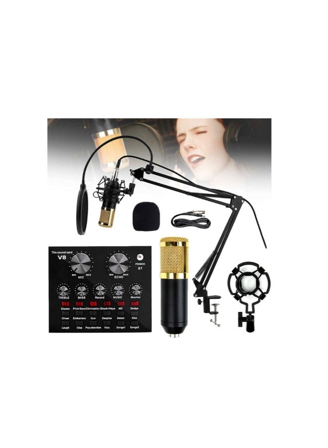 ACLIX BM800 Condenser Mic with V8 Live USB Mixer Sound Card - Image 3