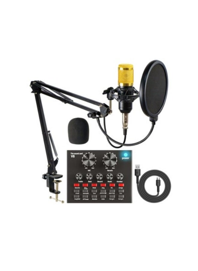 ACLIX BM800 Condenser Mic with V8 Live USB Mixer Sound Card - Image 1