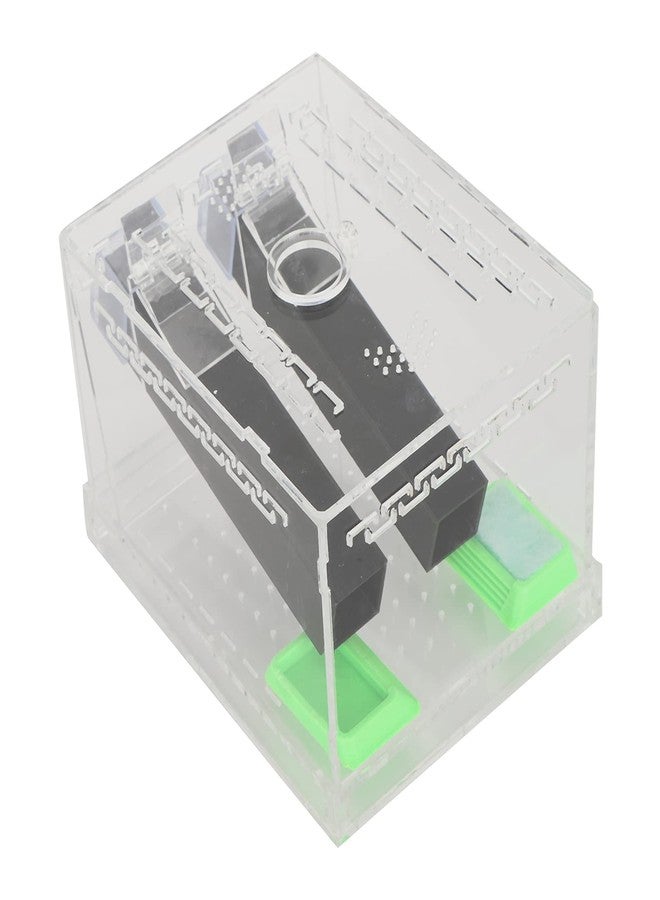 plplaaoo Acrylic Cricket Keeper with Tubes-Reptile Feeding Cricket Keeper with Feces Layer & Ventilated Lid,Transparent Crickets Enclosure for Observation,Feeder Insect Storage,Includes Food/Water Tubes (L) - Image 3