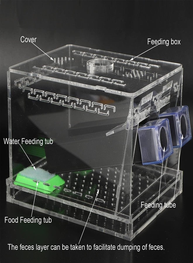 plplaaoo Acrylic Cricket Keeper with Tubes-Reptile Feeding Cricket Keeper with Feces Layer & Ventilated Lid,Transparent Crickets Enclosure for Observation,Feeder Insect Storage,Includes Food/Water Tubes (L) - Image 4