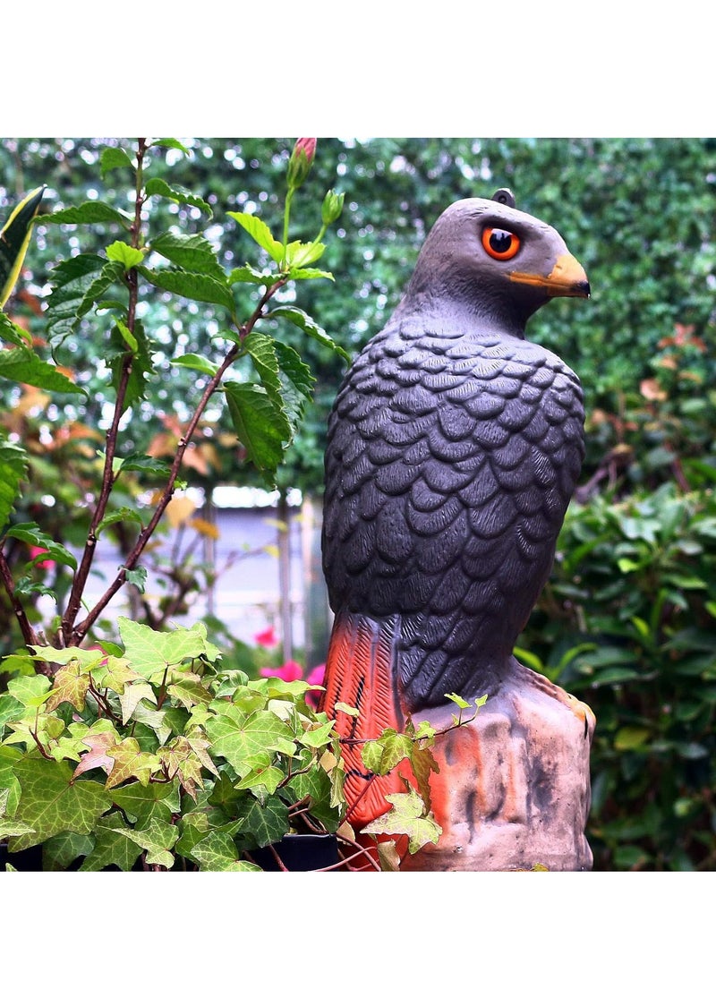 Excefore - Large Realistic Falcon Statue Decoy Bird Scarer Plastic Garden Bird Repeller Scarecrow Bird Scare Seagull Crow Scare Birds Away for Garden - Image 1