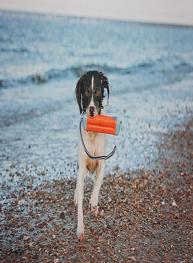 Chuckit! Three Soft and Durable Amphibious Bumper Dog Toy with Rope for Land and Water Play (Medium) PACK OF 3 - Image 5