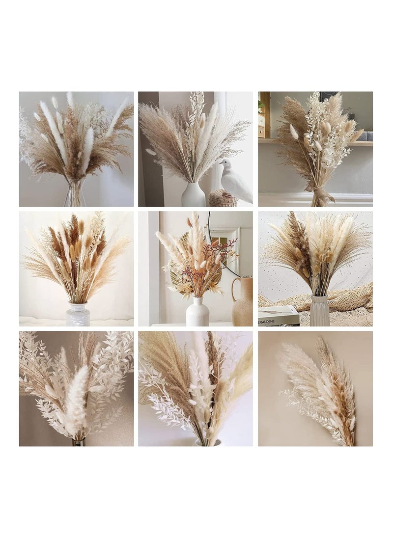 Excefore - Natural Dried Pampas Grass, Boho Decor Fluffy White Pompous Grass Large Reed Bunny Tail Wheat Stalk Decorative Plumes Italian Ruscus Solidago Goldenrod Flower Bouquet - Image 1
