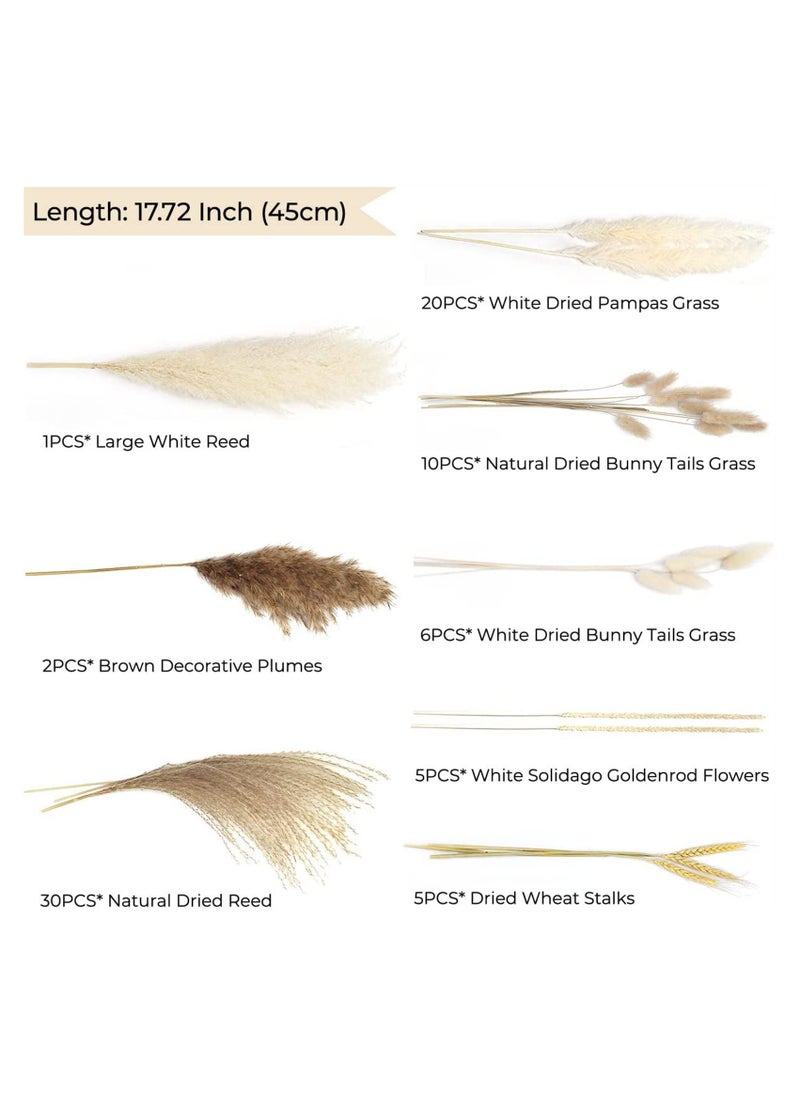 Excefore - Natural Dried Pampas Grass, Boho Decor Fluffy White Pompous Grass Large Reed Bunny Tail Wheat Stalk Decorative Plumes Italian Ruscus Solidago Goldenrod Flower Bouquet - Image 1
