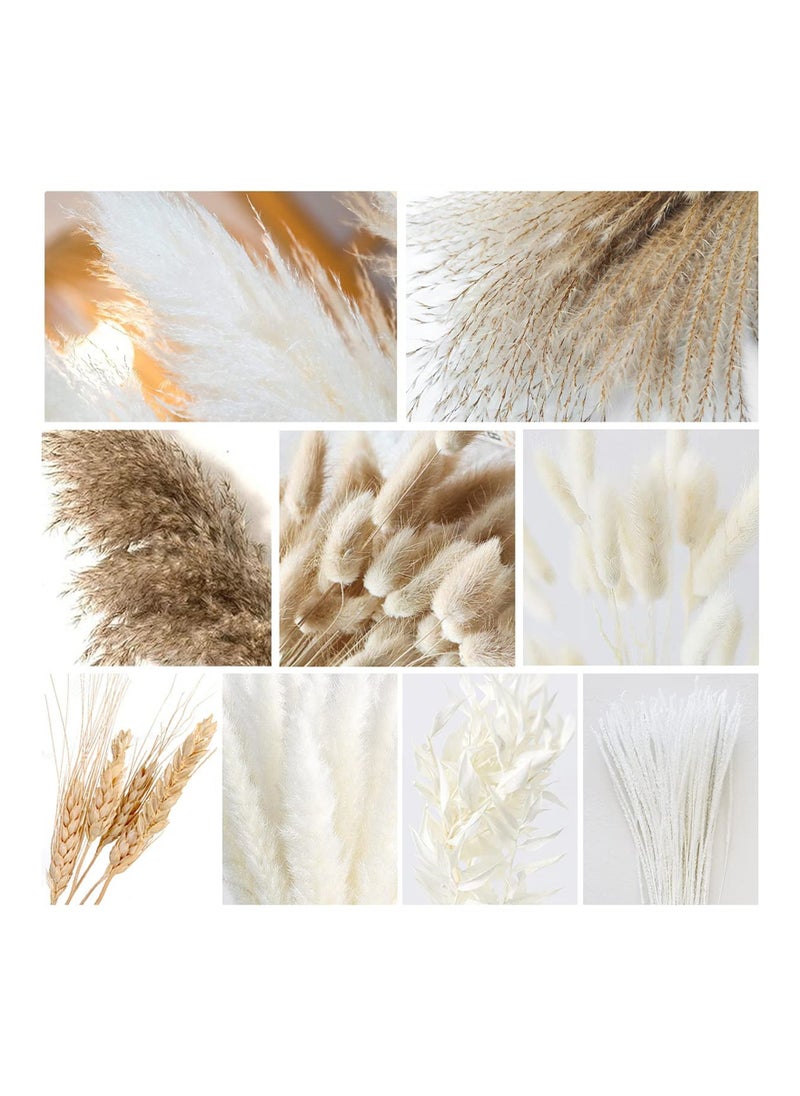 Excefore - Natural Dried Pampas Grass, Boho Decor Fluffy White Pompous Grass Large Reed Bunny Tail Wheat Stalk Decorative Plumes Italian Ruscus Solidago Goldenrod Flower Bouquet - Image 1