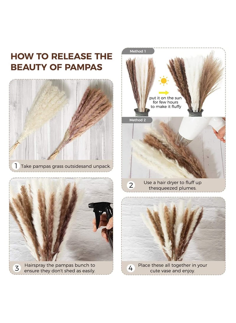 Excefore - Natural Dried Pampas Grass, Boho Decor Fluffy White Pompous Grass Large Reed Bunny Tail Wheat Stalk Decorative Plumes Italian Ruscus Solidago Goldenrod Flower Bouquet - Image 1