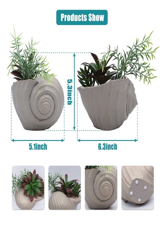 Accessoryway Faux Succulents in Conch Sea Shell Home Decor,Coastal Beach Decorations for Home Bathroom Ocean Seashell Decor Series for Home Beach Decor Theme Party Favors (Without Drainage Hole) - Image 2