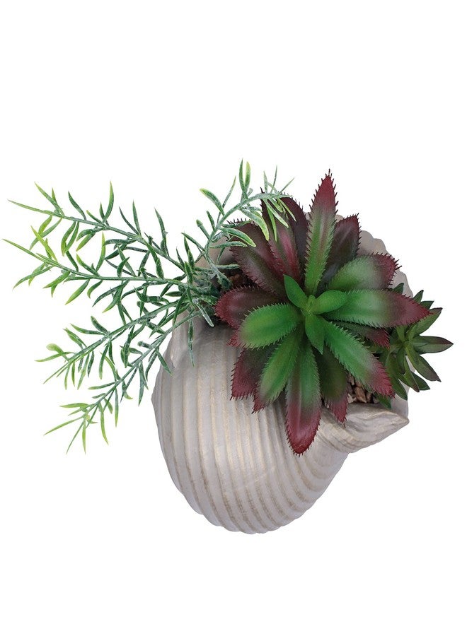 Accessoryway Faux Succulents in Conch Sea Shell Home Decor,Coastal Beach Decorations for Home Bathroom Ocean Seashell Decor Series for Home Beach Decor Theme Party Favors (Without Drainage Hole) - Image 3