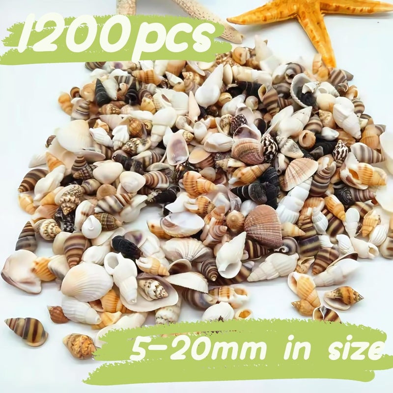 Wanwanzi 1200 PCS Tiny Sea Shells &10 Small Starfish - Mixed Ocean Beach Spiral Seashells for Fish Tank and Vase Filler, Beach Theme Party, Wedding Decor - DIY Craft Supplies - Image 5
