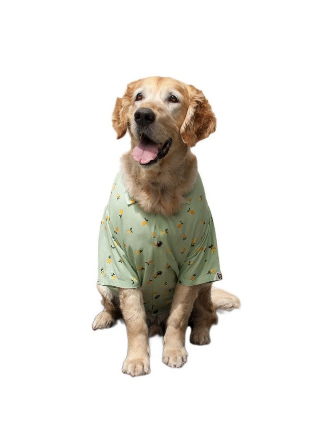 روسيبين قميص طوق كلب من Pet Green Mangos | قميص نصف كم من القماش Softtech / ملابس / ملابس هدية للكلاب. (M) - Image 1