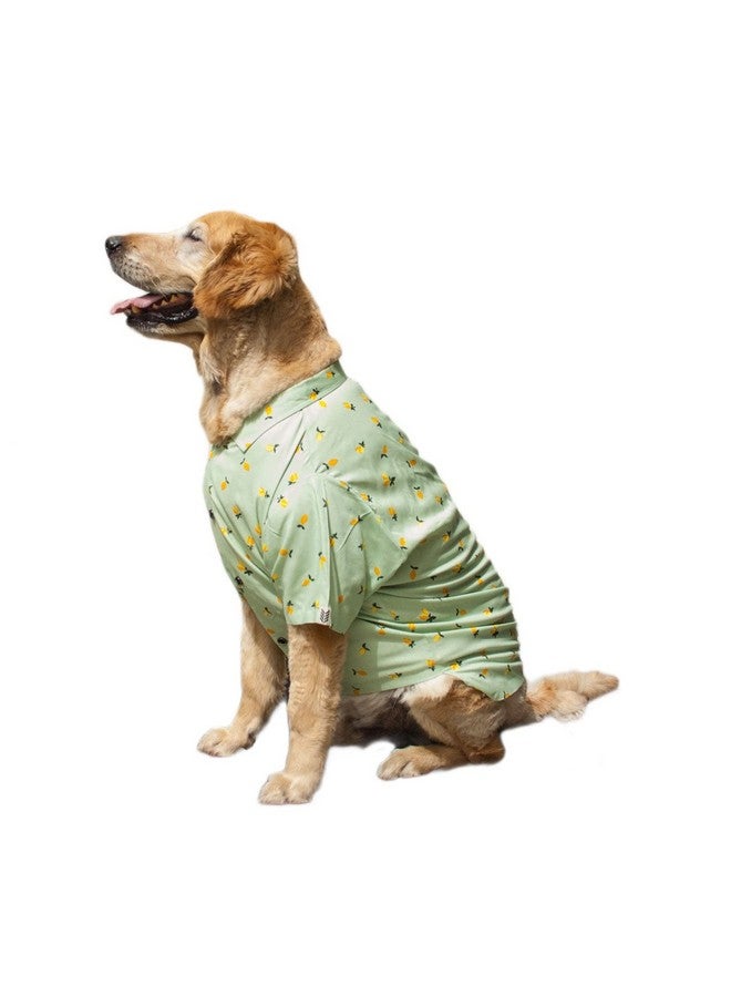روسيبين قميص طوق كلب من Pet Green Mangos | قميص نصف كم من القماش Softtech / ملابس / ملابس هدية للكلاب. (M) - Image 3