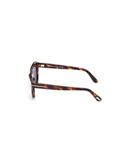 TOM FORD Women's Oval Shape Acetate Sunglasses FT111152E55 Lens Size: 55 Millimeter - Dark Havana  - Image 4