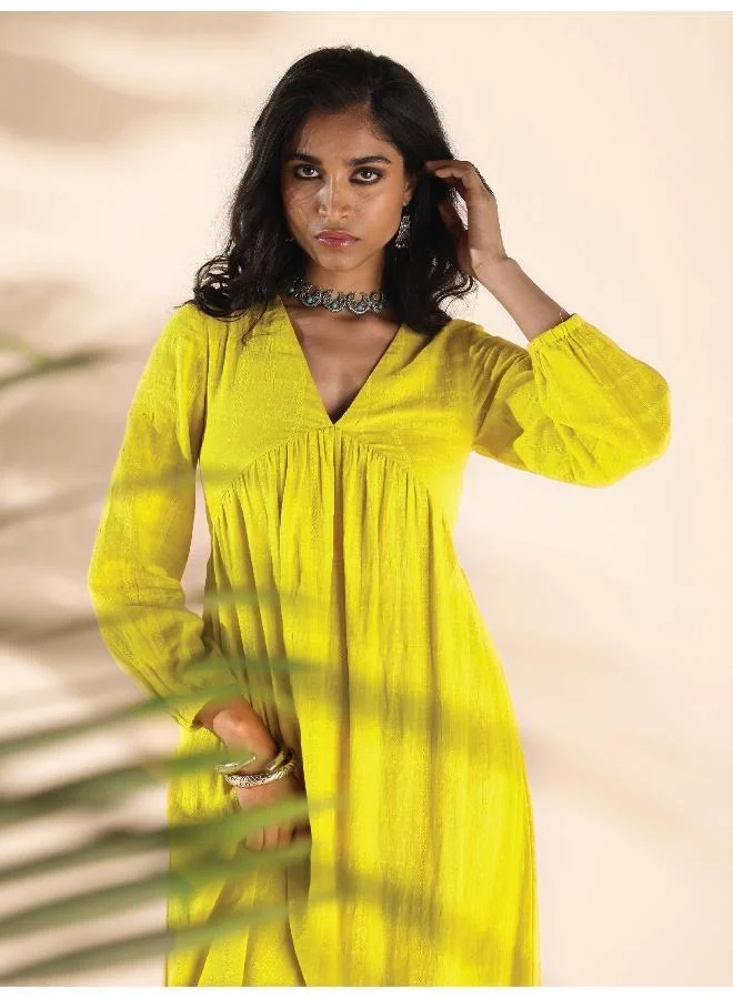trueBrowns trueBrowns Lime Cotton Dobby Flared Dress