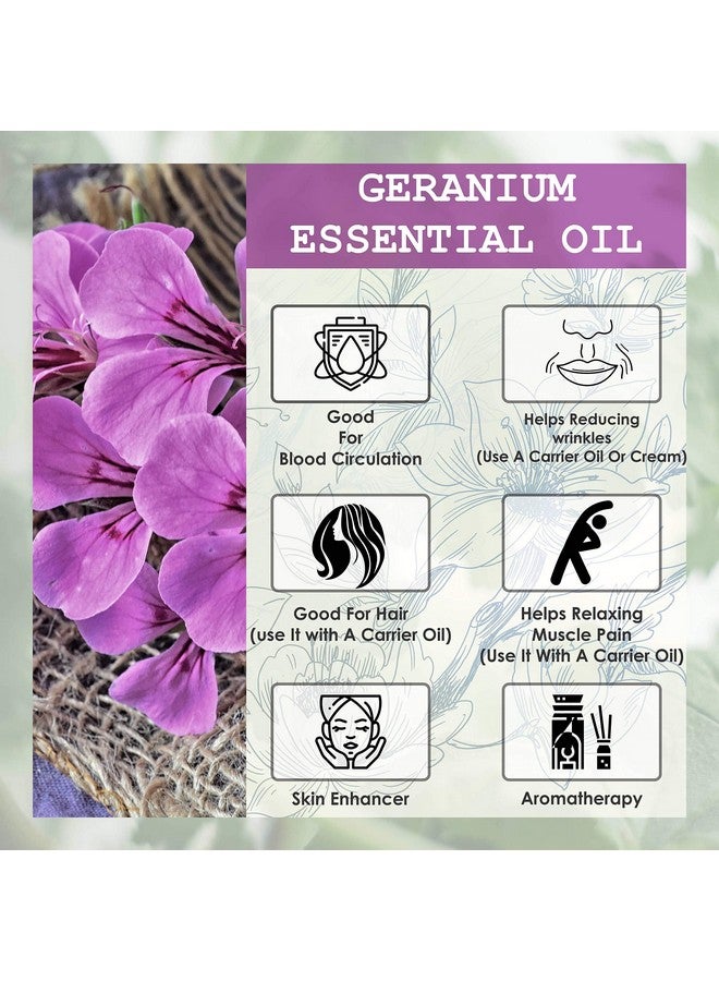 OY-L OYL Geranium Essential Oil 100% Pure Natural, Scalp sebum serum for flowy, long & healthy hair, Smooth Skin 30ml - Image 2