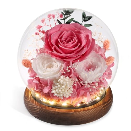 FIACO Gifts for Mom Flowers for Delivery Birthday Gifts for Women Grandma Forever Preserved Eternal Rose in Glass Dome Mother Days Valentines Anniversary for Girlfriend Wife Her Pink - Image 1