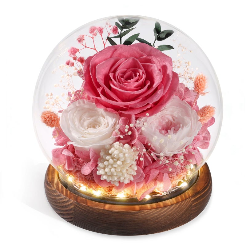 FIACO Gifts for Mom Flowers for Delivery Birthday Gifts for Women Grandma Forever Preserved Eternal Rose in Glass Dome Mother Days Valentines Anniversary for Girlfriend Wife Her Pink - Image 2