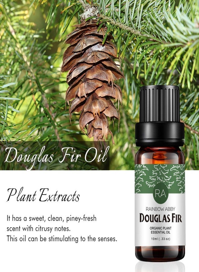 Rainbow Abby Douglas Fir Essential Oil 100% Pure Oganic Plant Natrual Douglas Fir Oil for Diffuser Message Hair Skin Care - 10ML - Image 3