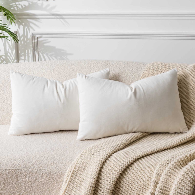 JUSPURBET Cream White 16x24 inch Pillow Cover Set of 2 Soft Decorative Lumbar Velvet Throw Pillow Cases for Couch Bed Sofa Zippered Closure Luxurious Velvet Fabric Machine Washable Home Decor