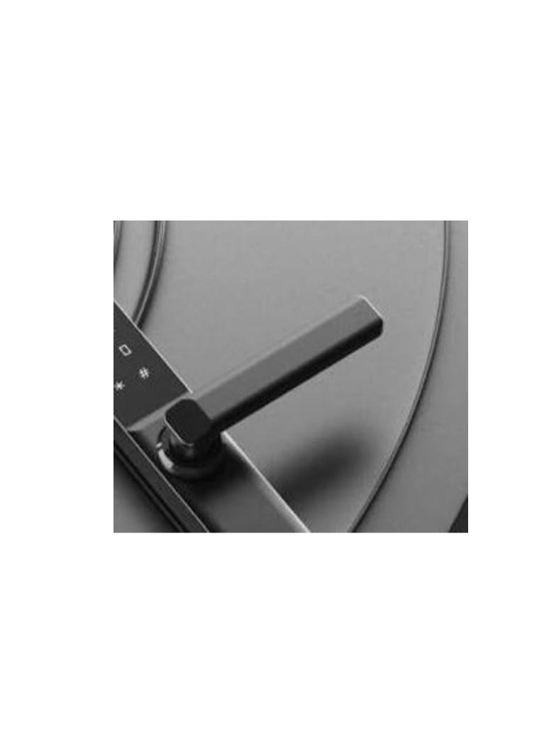 ABBASALI Smart Lock W016 UPVC & Alum (BLACK) - Image 2