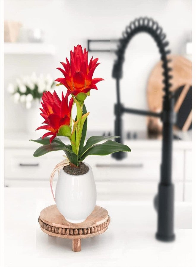 BINFEN Red Potted Bromeliad - Artificial Flowers with Vase for Home and Office Decor, Aesthetic Faux Tropical Plant Bonsai, 13.4 Inch - Image 1