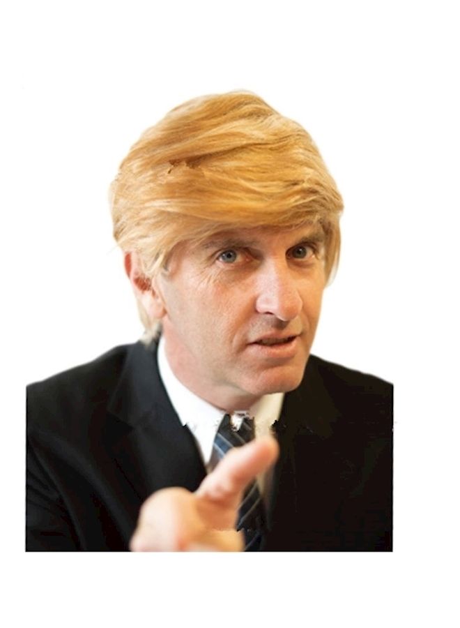 NIBEMINENT Donald Trump Halloween Costume Hair Wig Gold - Image 2