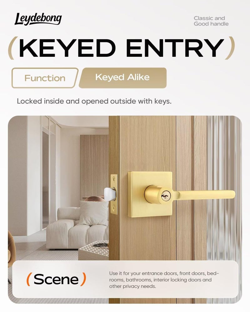 Leydebong 1 Pack Door Lever Lock Satin Brass Front/Exterior Door Handle Set Keyed Alike/Combo Keys, Gold Heavy Duty Left/Right Handing Exterior Door Handle, Entry Door Handle - Image 2