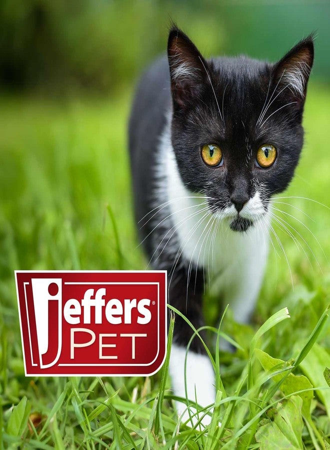 Jeffers Pet Cat Collar with Bell - Durable Breakaway Plastic Buckle Safety Collar for Kittens & Adult Cats, Adjustable Single Ply Nylon, Indoor & Outdoor Use - Argyle Pattern, Blue - Image 3