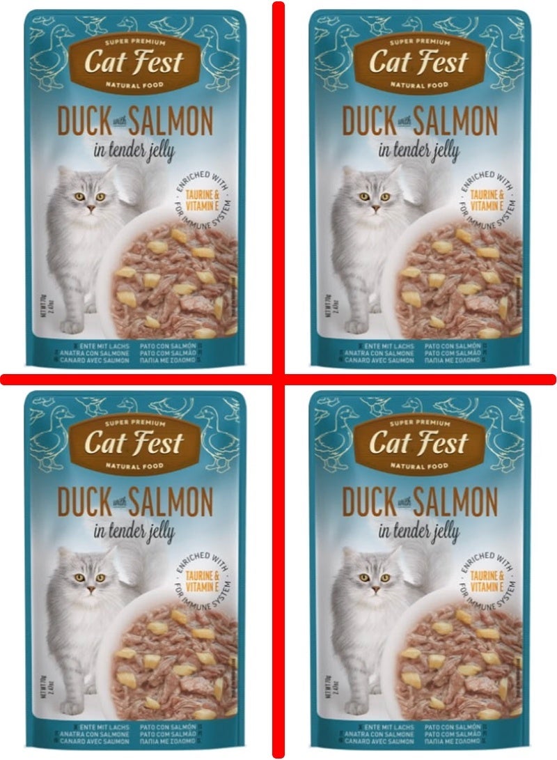 Cat Fest Duck With Salmon In Tender Jelly For Cats -4 packs, each pack size 70g - Image 1